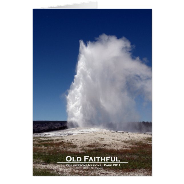 Old Faithful - Yellowstone National Park Card (Front)