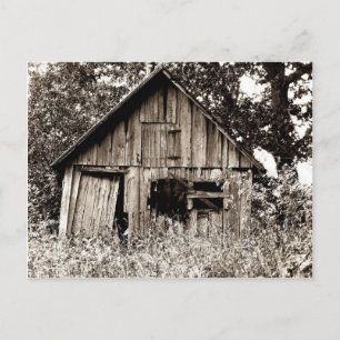Old Farm Shed Postcard