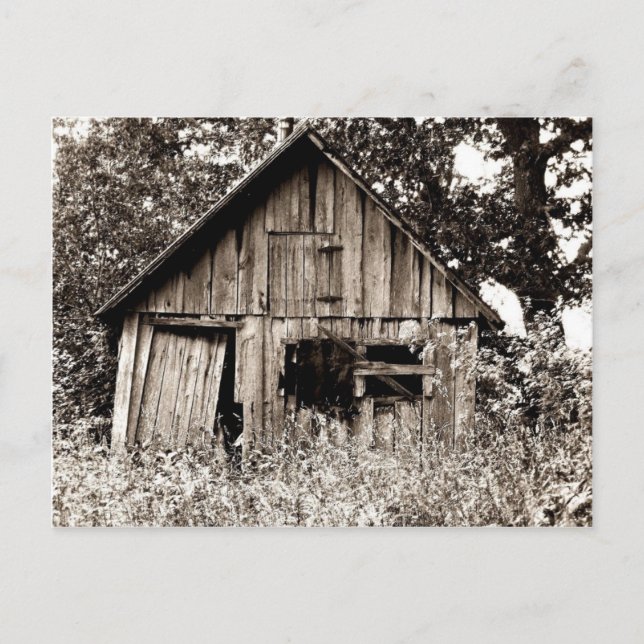 Old Farm Shed Postcard (Front)
