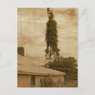 Old Farmstead 2 Postcard