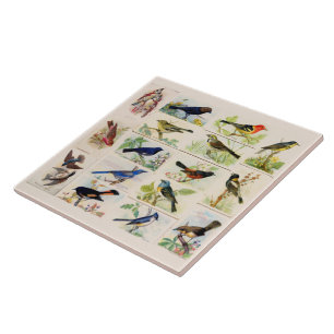 Old Fashioned Birds Ceramic Tile