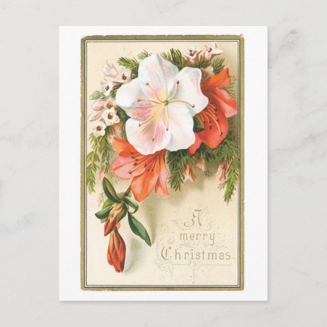 Old-fashioned Christmas, Flower Holiday Postcard (Front)