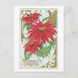 Old-fashioned Christmas, Poinsettia Holiday Postcard