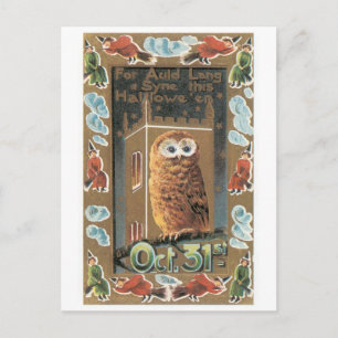 Old-fashioned Halloween, Owl Postcard