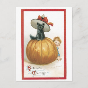 Old-fashioned Halloween, Witch cat Postcard