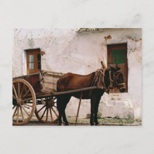 Old-fashioned horse-drawn cart postcard