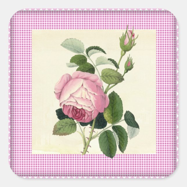Old Fashioned Pink Rose Linen Gingham Decorative Square Sticker (Front)