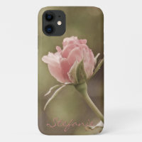 Old Fashioned Rose