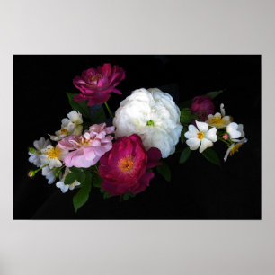 Old fashioned Roses Poster