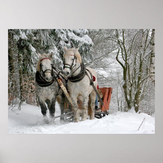 Old Fashioned Sleigh Ride Poster (Front)