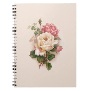 Old Fashioned White/Pink Roses-Buff Background Notebook