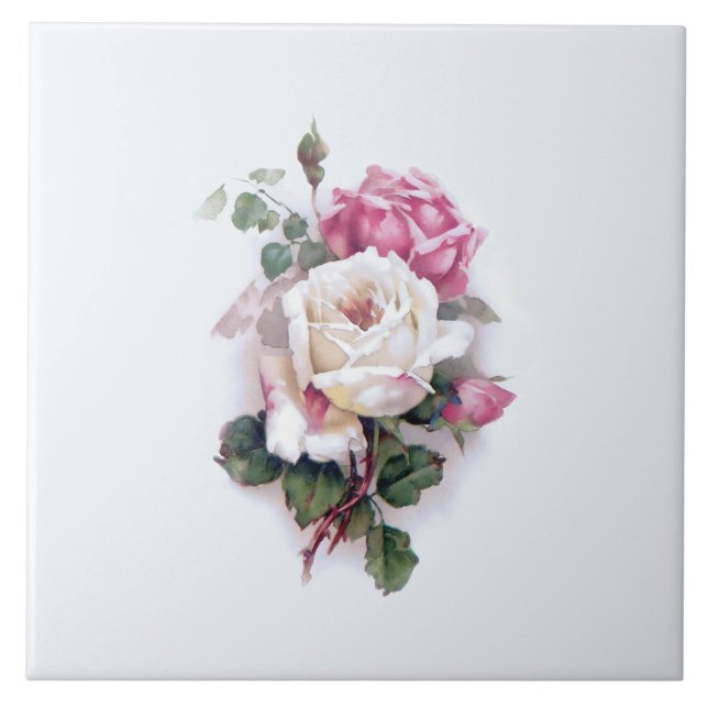 Old Fashioned White/Pink Roses-White Background Ceramic Tile (Front)