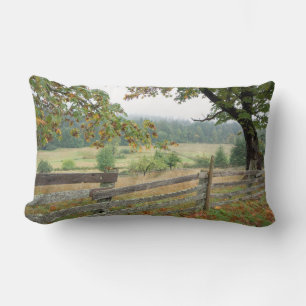 Old Fence On A Farm Lumbar Cushion