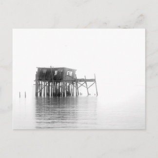 Old Fish House Cedar Key Postcard