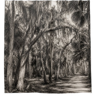Old Florida Oak Hammock Graphite Sketch Rockledg Shower Curtain