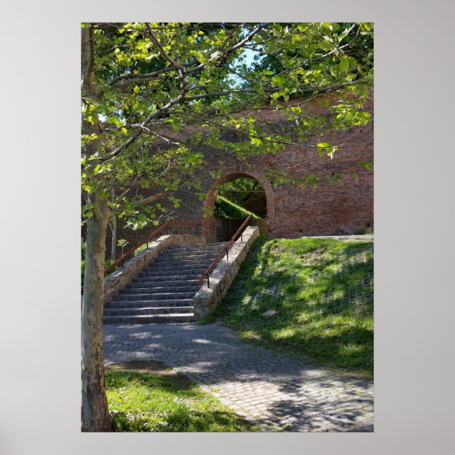 old fortress wall poster (Front)