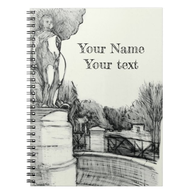 Old fountain in the park with sculpture boy notebook (Front)