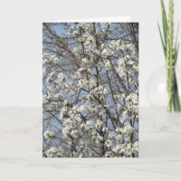 Old Friend Through The Seasons of Life