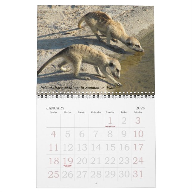 Old Friends, new Friends - FKMP Calendar 2011 (Jan 2026)