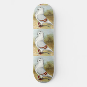 Old German Owl Pigeon Standing Tall Skateboard