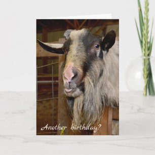 Old Goat Birthday Humour Card