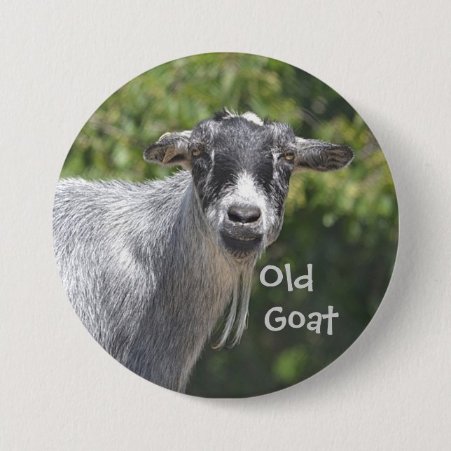 Old Goat Button (Front)