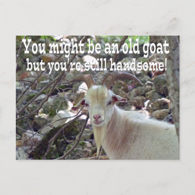 Old Goat Card (Front)
