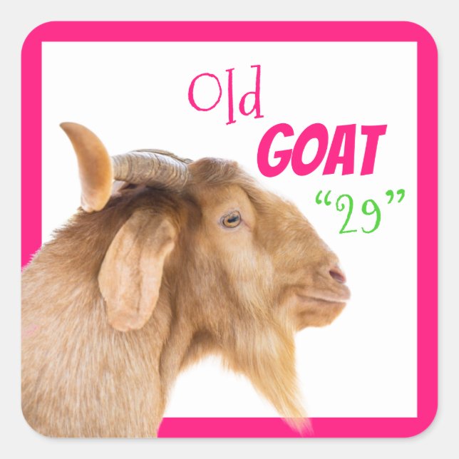 Old Goat Pink 29th Twenty Ninth 29th Birthday Square Sticker (Front)