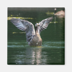 Old Goose Wing Action Magnet