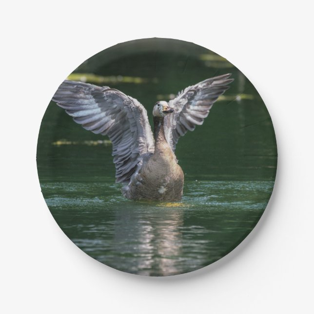 Old Goose Wing Action Paper Plate (Front)