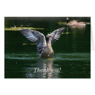 Old Goose Wing Action Thank You Card