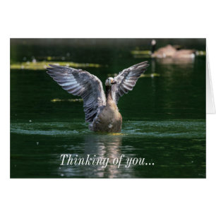 Old Goose Wing Action Thinking Of You Card