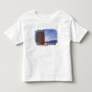 Old granary at Collins Montana at sunrise Toddler T-Shirt