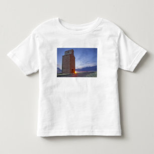 Old granary at Collins Montana at sunrise Toddler T-Shirt