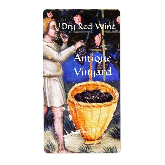 OLD GRAPE VINEYARD HARVEST (Front)