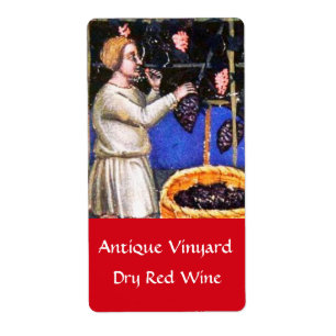 OLD GRAPE VINEYARD HARVEST