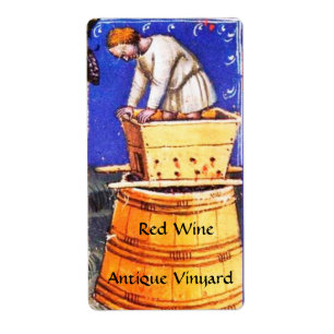 OLD GRAPE VINEYARD HARVEST WITH WINE BARRELS