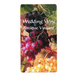 OLD GRAPE VINEYARD WINE TASTING PARTY