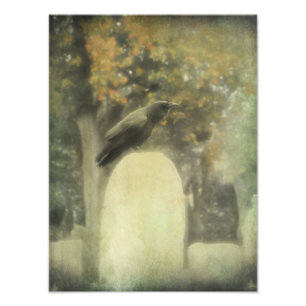 Old Graveyard Raven Photo Print