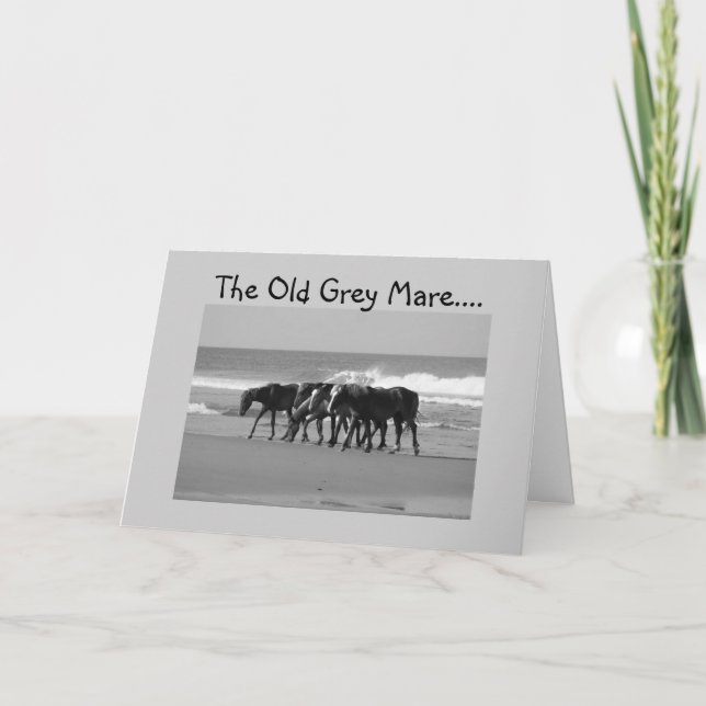 OLD GREY MARE JUST AIN'T SO YOUNG-GROUP CARD (Front)