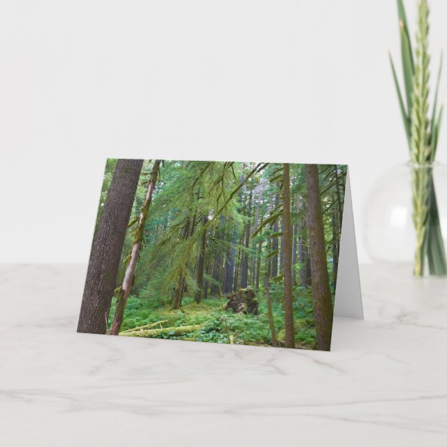 Old Growth Forest Card (Front)