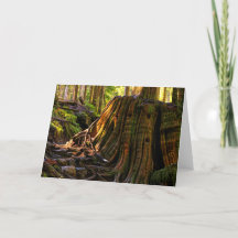 Old-Growth Heather Lake Thank You Card