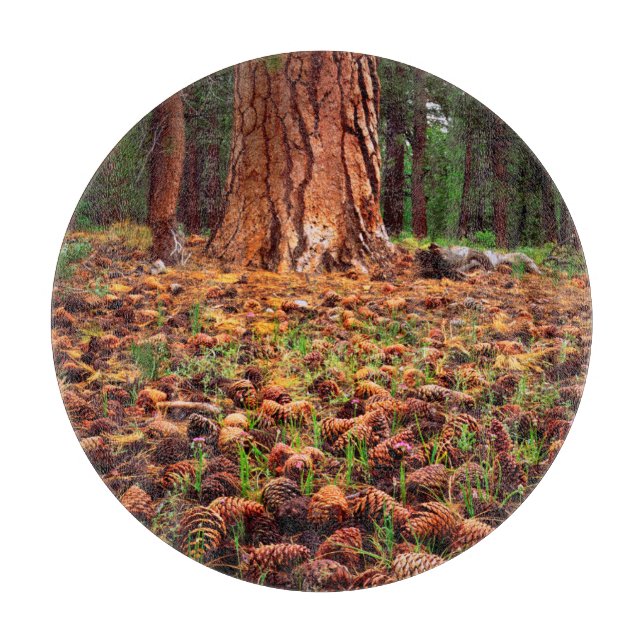 Old-growth Ponderosa tree with pine cones Cutting Board (Front)