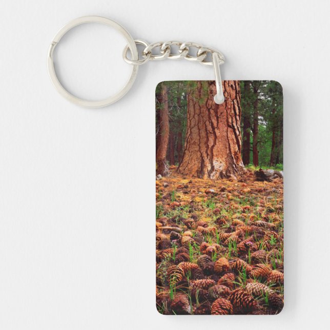 Old-growth Ponderosa tree with pine cones Key Ring (Front)