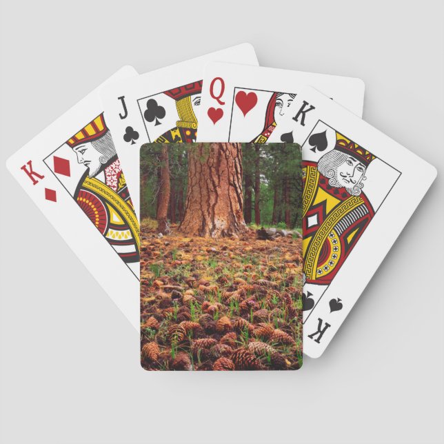 Old-growth Ponderosa tree with pine cones Playing Cards (Back)