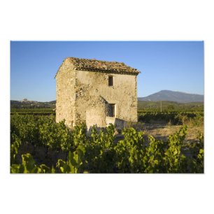 Old house in the Comtat Venaissin, Vaucluse, Photo Print