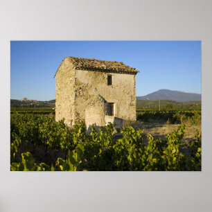 Old house in the Comtat Venaissin, Vaucluse, Poster