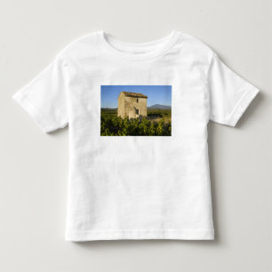 Old house in the Comtat Venaissin, Vaucluse, Toddler T-Shirt