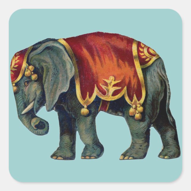 Old iIustração of circus elephant Square Sticker (Front)
