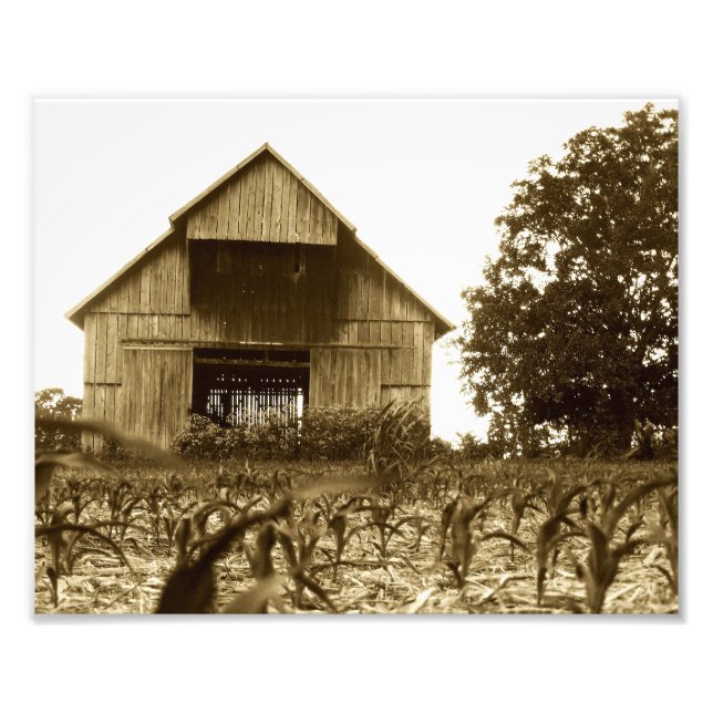 Old Kentucky Tobacco Barn Photo Print (Front)